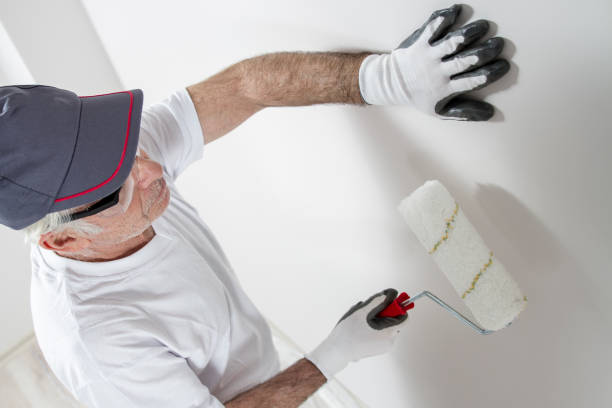  Ramsey, MN Mold Removal Pros