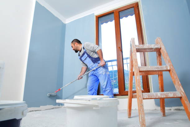 Best Asbestos and Lead Testing During Mold Inspection  in Ramsey, MN