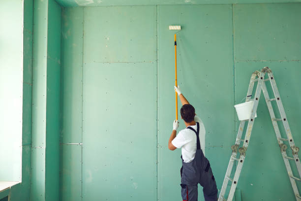 Best Water Damage & Mold Remediation  in Ramsey, MN