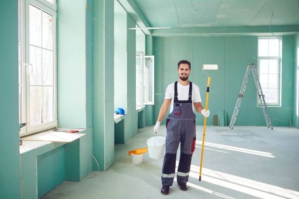 Best Mold Removal for HVAC Installations  in Ramsey, MN