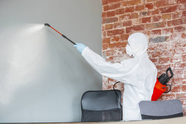 Best Environmental Consulting for Mold Prevention  in Ramsey, MN