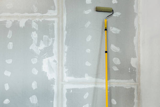 Best Commercial Mold Inspection  in Ramsey, MN