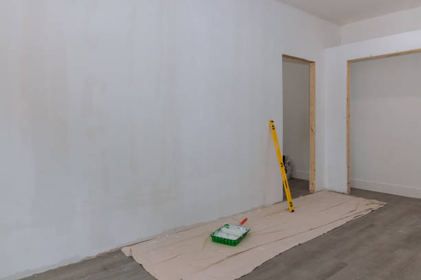 Best Mold Documentation for Insurance Claims  in Ramsey, MN
