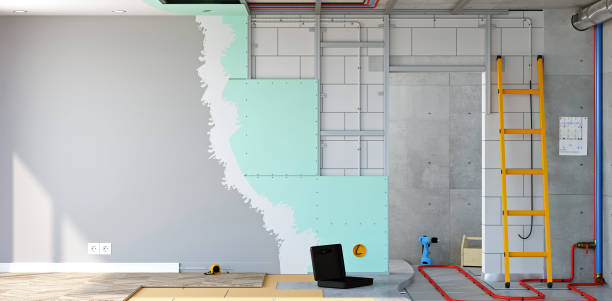 Best Basement Mold Removal  in Ramsey, MN