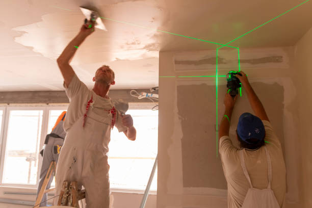 Best Forensic Mold Investigation  in Ramsey, MN