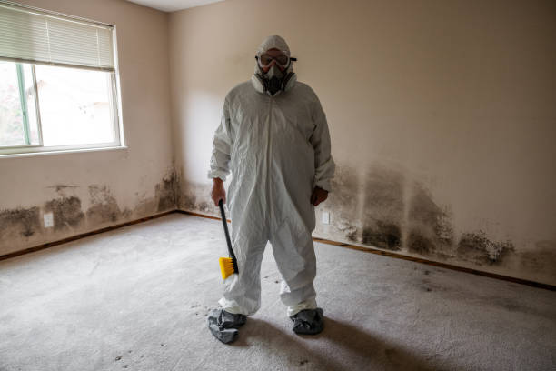 Best Air Quality Testing for Mold Spores  in Ramsey, MN