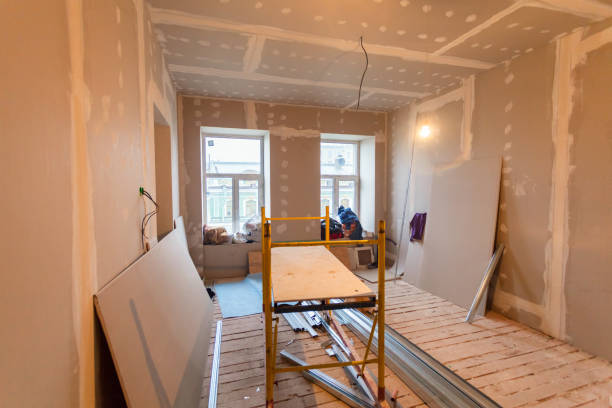 Best Mold Odor Removal Services  in Ramsey, MN